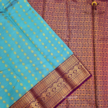 Elegant Teal Blue Saree