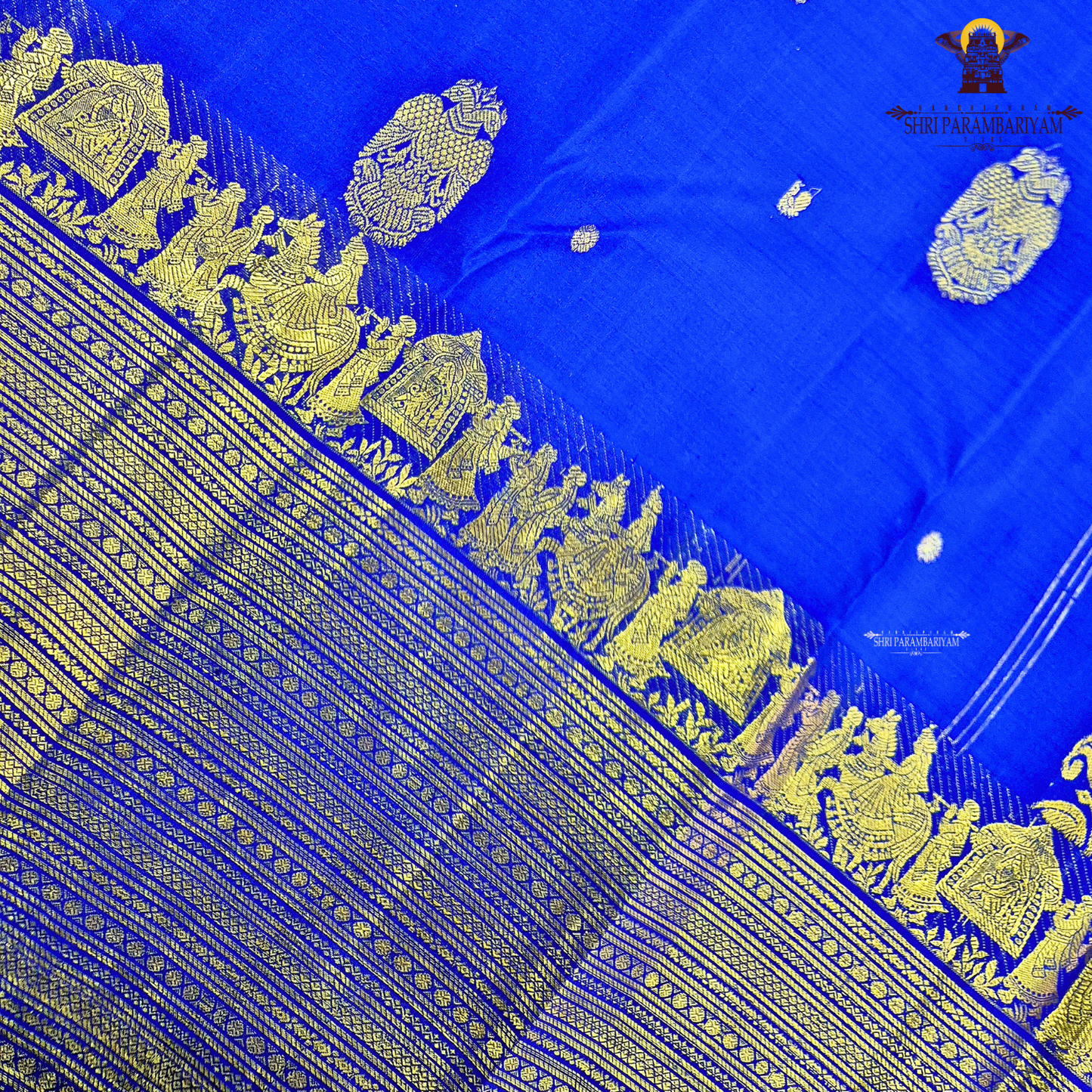 A vibrant royal blue body adorned with elegant gold zari Saree