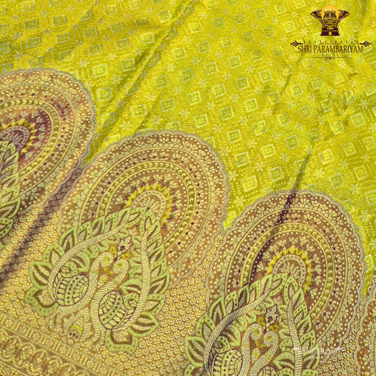 A vibrant parrot yellow / lime yellow tissue base paired with a rich magenta-pink Saree