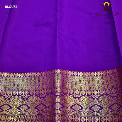 Warm burnt orange / temple orange Saree