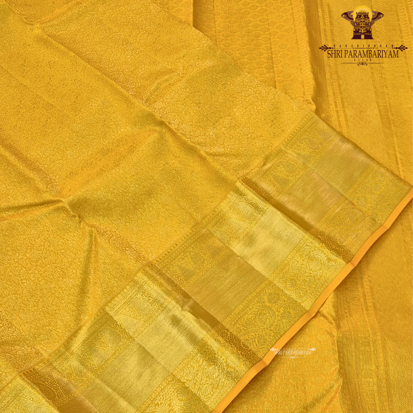 A vibrant turmeric yellow shade Saree
