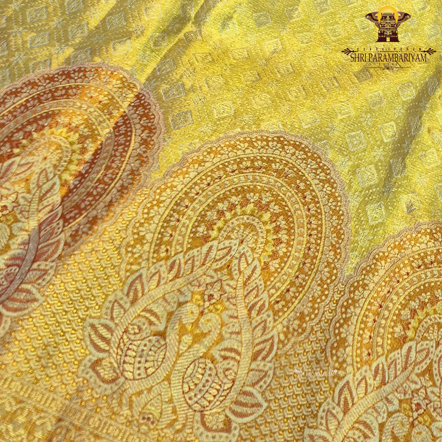A bright mustard yellow / turmeric yellow tissue base paired with a rich rust orange Saree