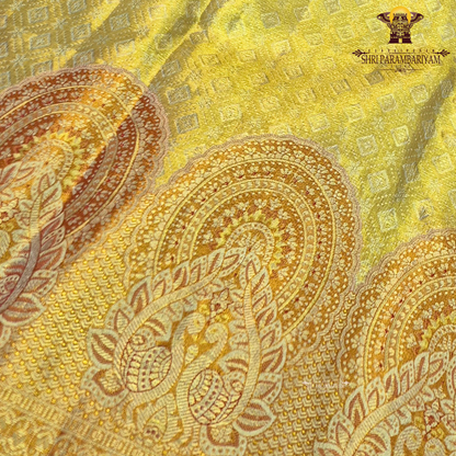 A bright mustard yellow / turmeric yellow tissue base paired with a rich rust orange Saree