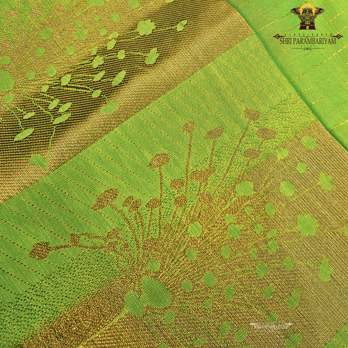 Bright Parrot Green / Lime Green Saree