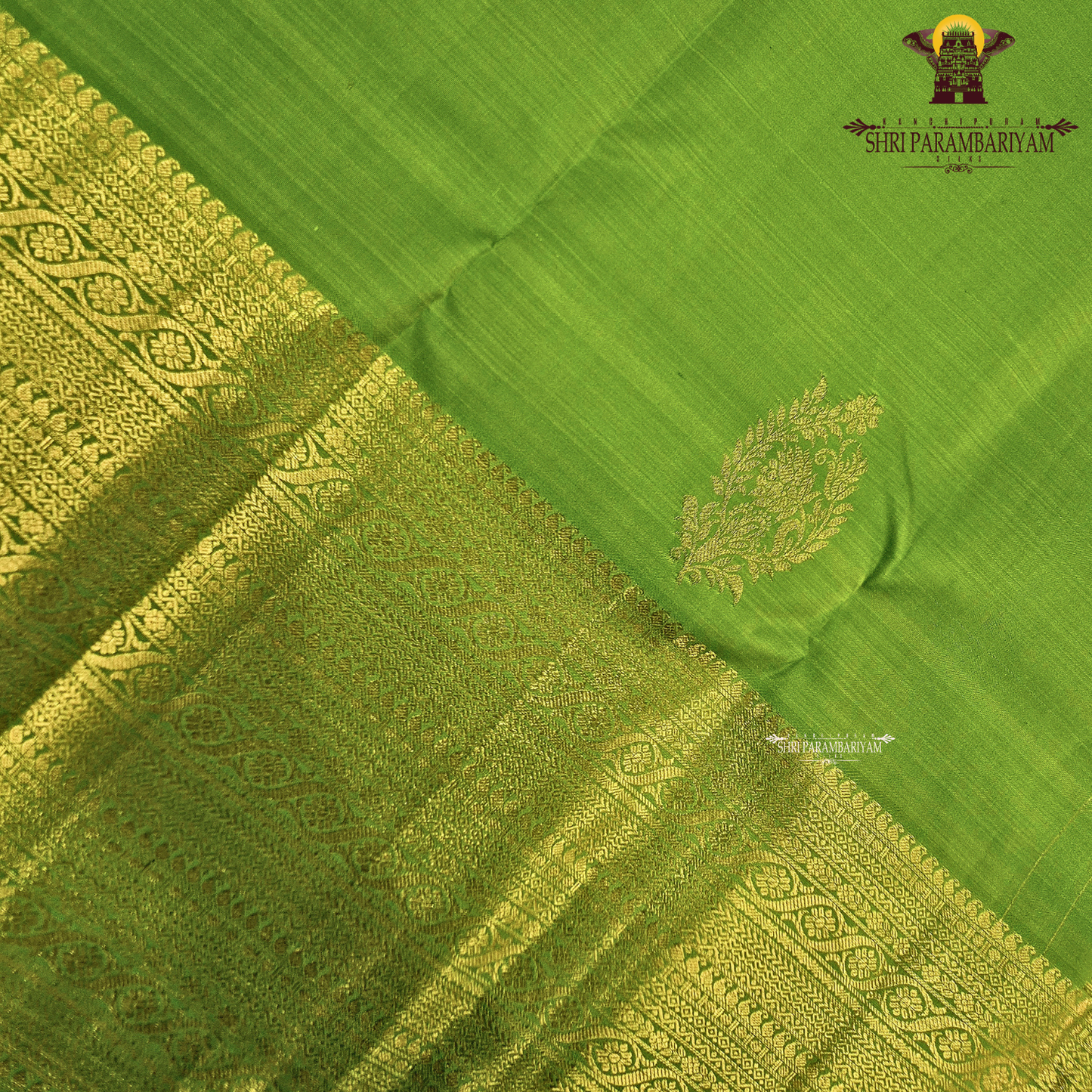 A rich Parrot Green with rich Gold zari work Saree