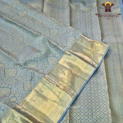 Elegant pastel blue / muted sky blue with rich gold zari Saree