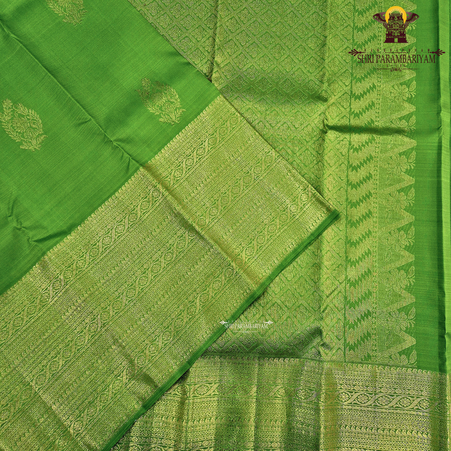 A rich Parrot Green with rich Gold zari work Saree