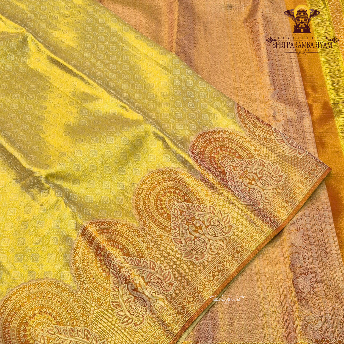 A bright mustard yellow / turmeric yellow tissue base paired with a rich rust orange Saree