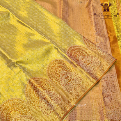 A bright mustard yellow / turmeric yellow tissue base paired with a rich rust orange Saree