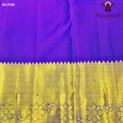 A beautiful dual-tone teal blue with hints of green, complemented by a contrast Saree