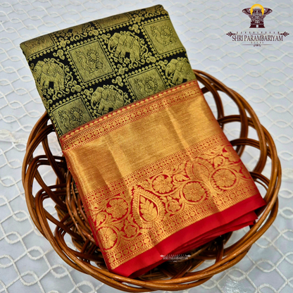 A striking black body paired with a rich gold zari pallu and border Saree