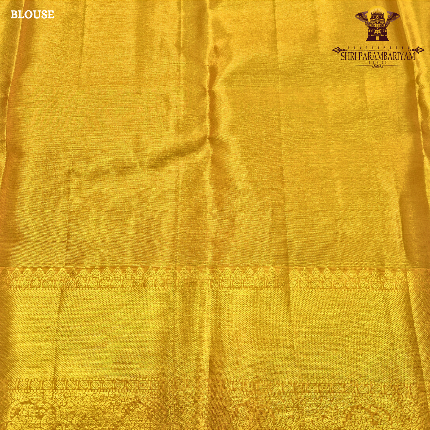 A fresh parrot green / leaf green with golden tissue sheen Saree