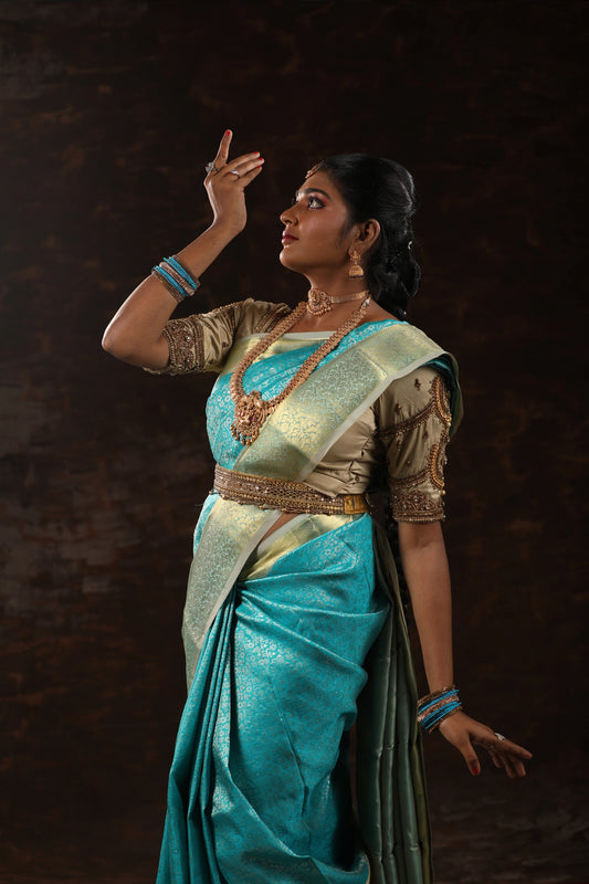 Embellished Border Silk Saree