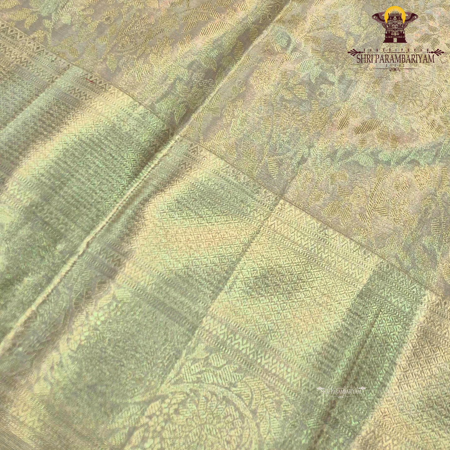 A sophisticated champagne gold shade that radiates a soft, luxurious sheen Saree