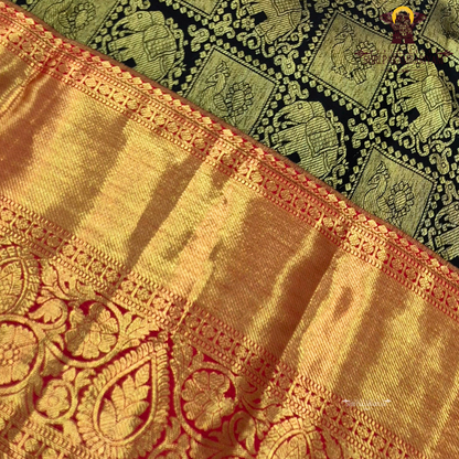 A striking black body paired with a rich gold zari pallu and border Saree