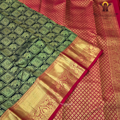 A striking black body paired with a rich gold zari pallu and border Saree
