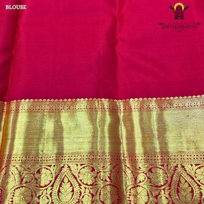 A striking black body paired with a rich gold zari pallu and border Saree