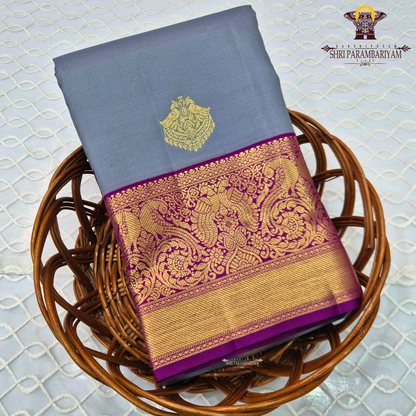 A sophisticated silver grey body highlighted with a traditional Saree