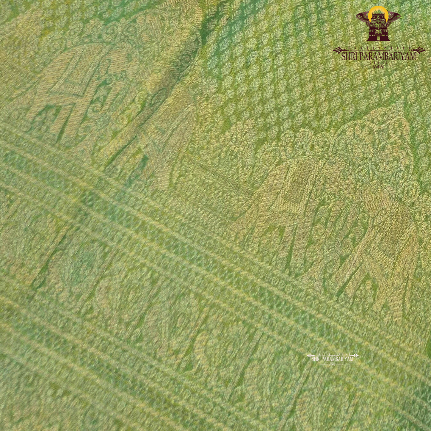 A refreshing leaf green shade blended with a luminous golden tissue finish Saree