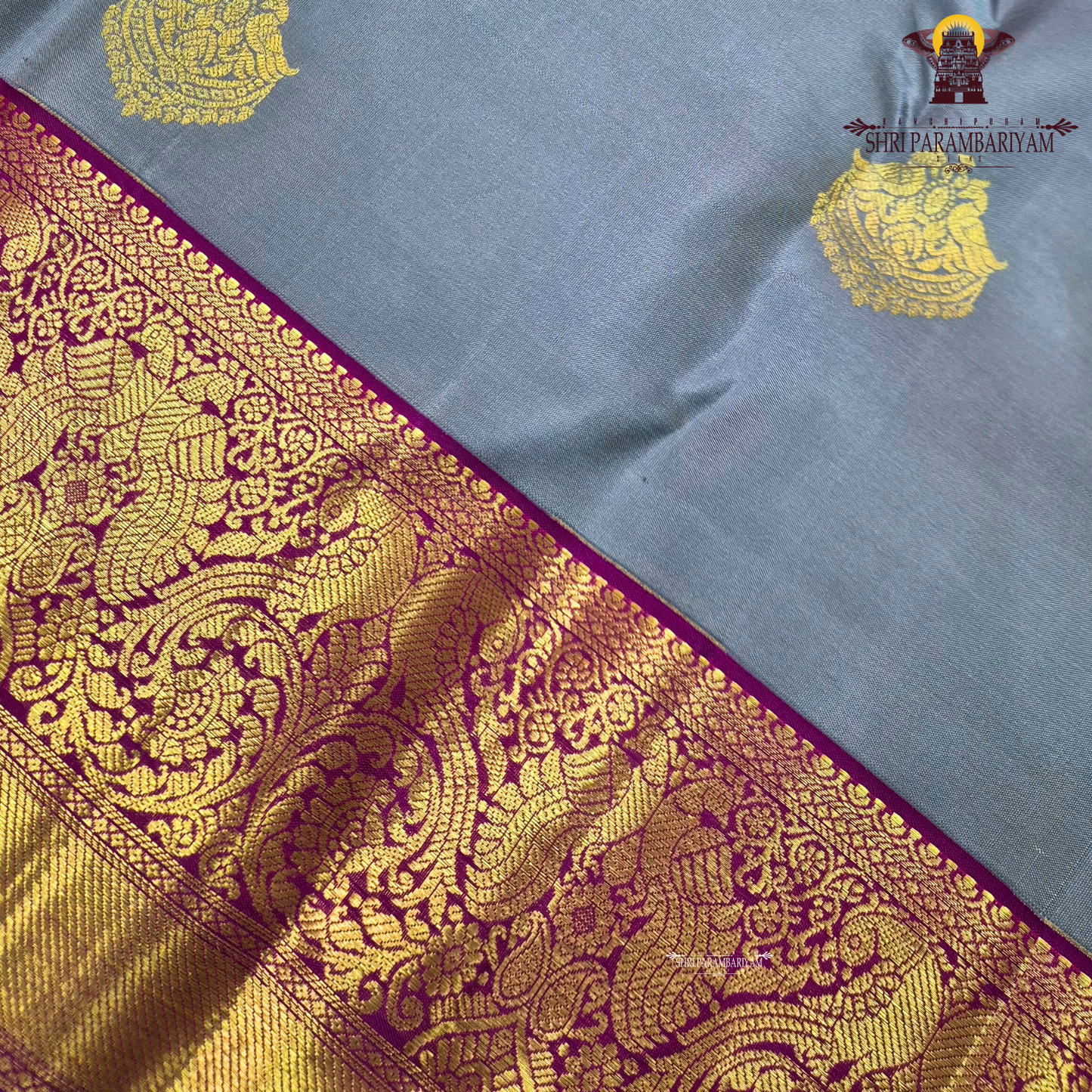 A sophisticated silver grey body highlighted with a traditional Saree