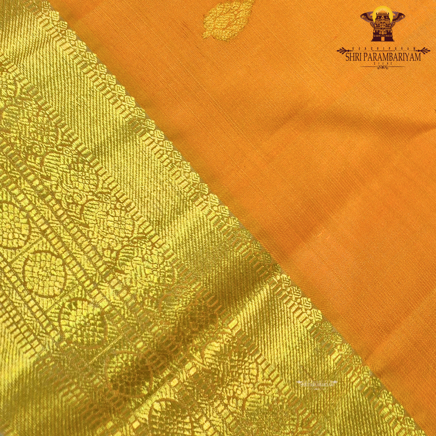 A rich mustard yellow with a subtle golden sheen contrast Saree