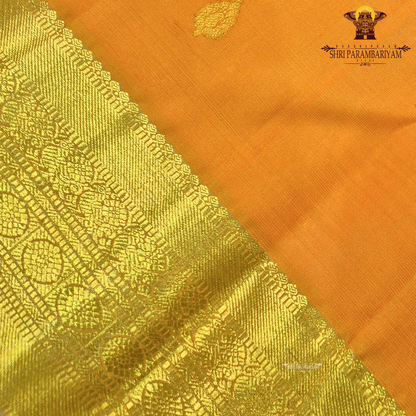 A rich mustard yellow with a subtle golden sheen contrast Saree