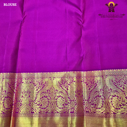 A sophisticated silver grey body highlighted with a traditional Saree