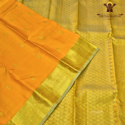 A rich mustard yellow with a subtle golden sheen contrast Saree