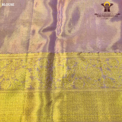 A soft and elegant peachy pink (tissue body) complemented Saree