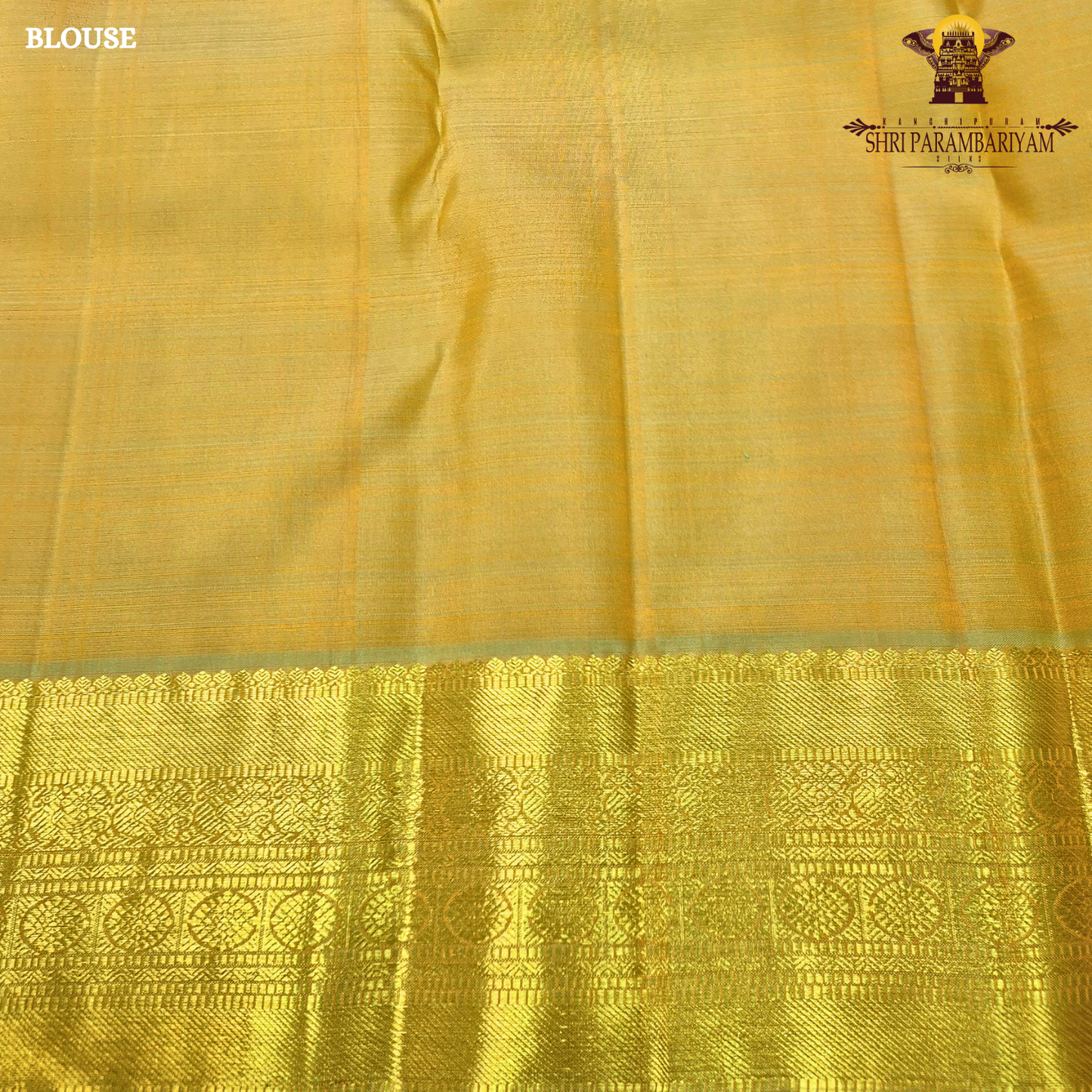 A rich mustard yellow with a subtle golden sheen contrast Saree