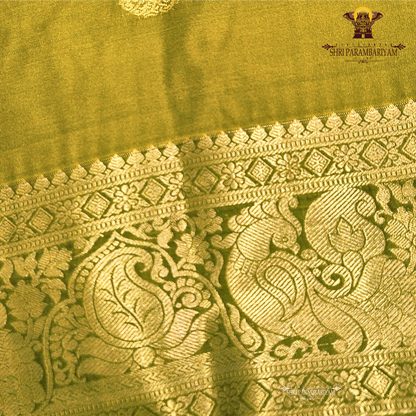 Rich Mustard Yellow / Golden Yellow Saree