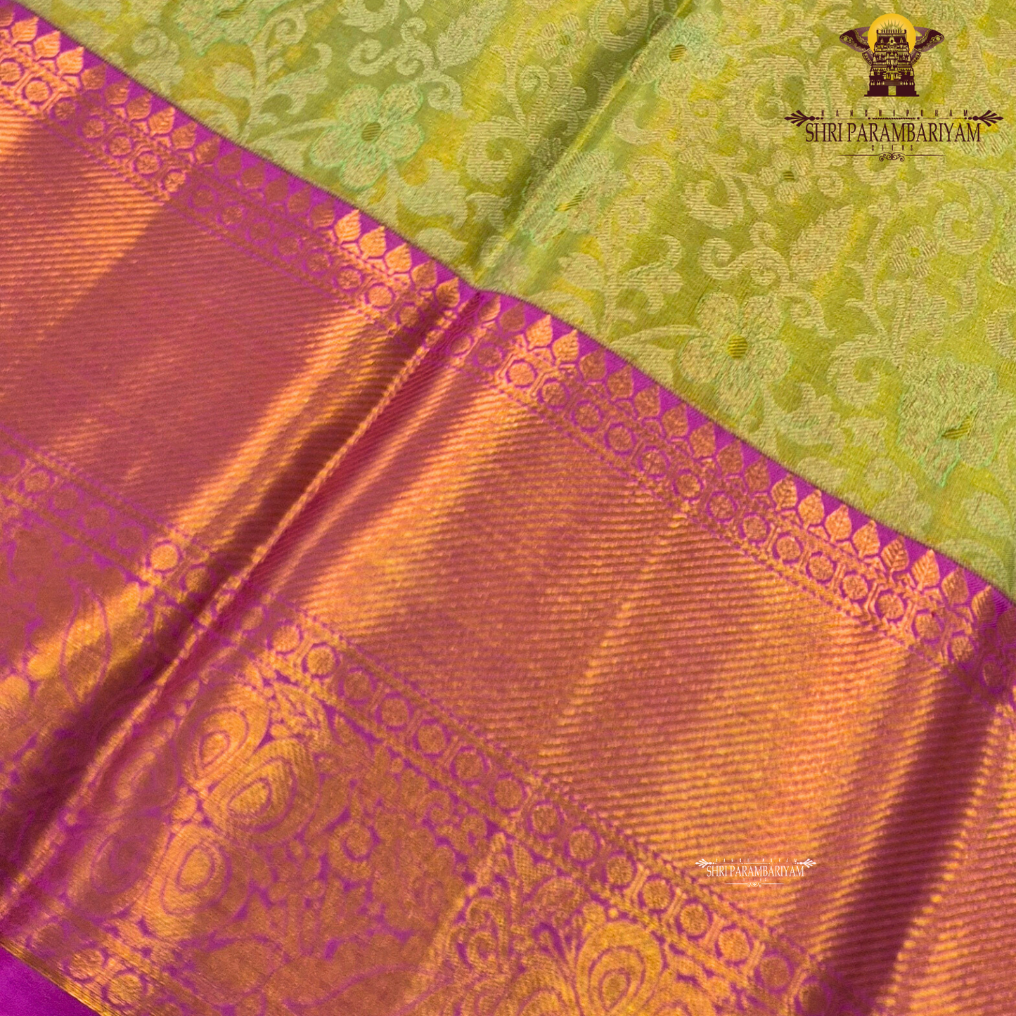 A light pista green (tissue body) paired with a vibrant rani pink border Saree