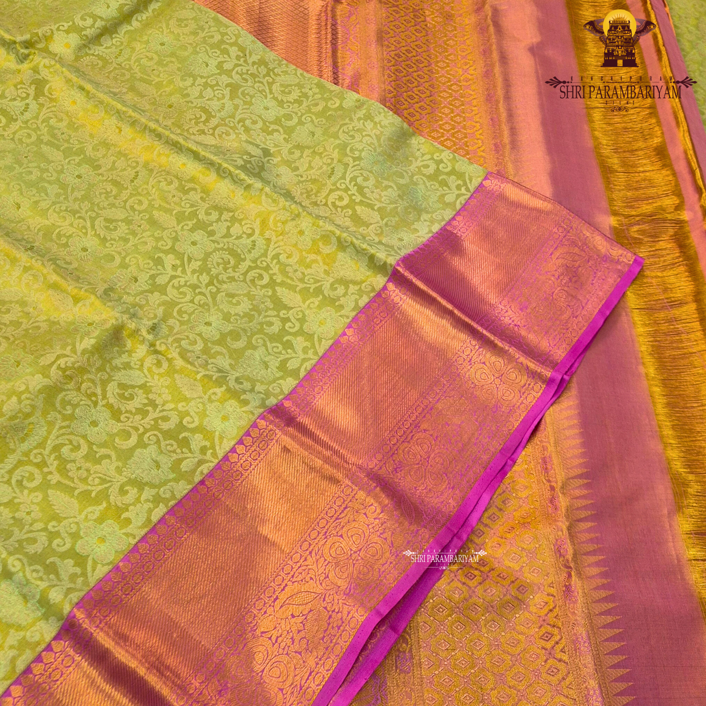A light pista green (tissue body) paired with a vibrant rani pink border Saree