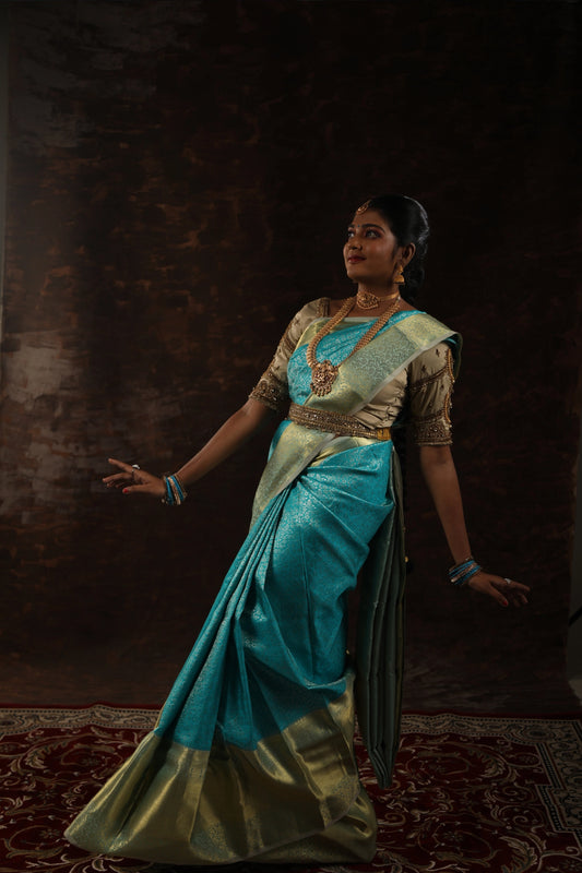 Embellished Border Silk Saree