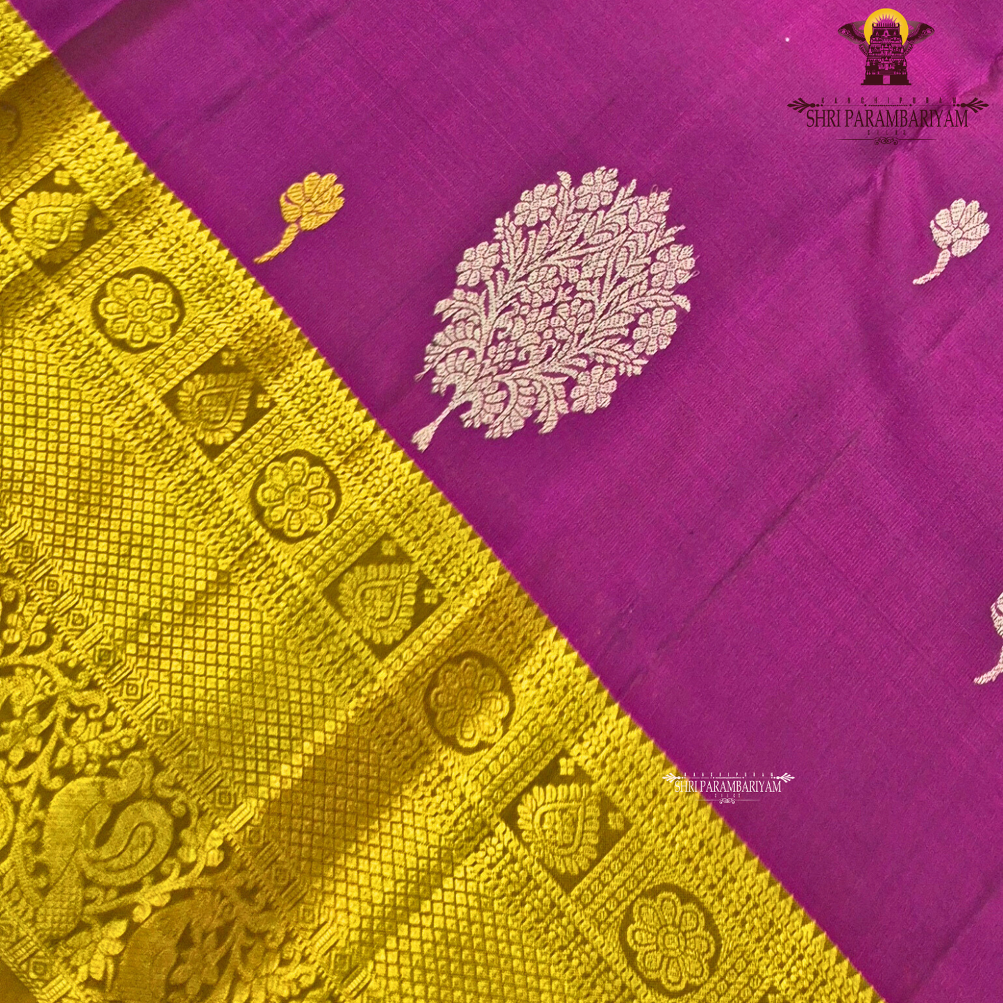 Rich Magenta Purple with Antique Gold Zari Border Saree
