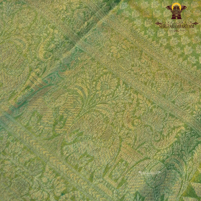 A vibrant parrot green body beautifully blended with a shimmering golden tissue finish Saree