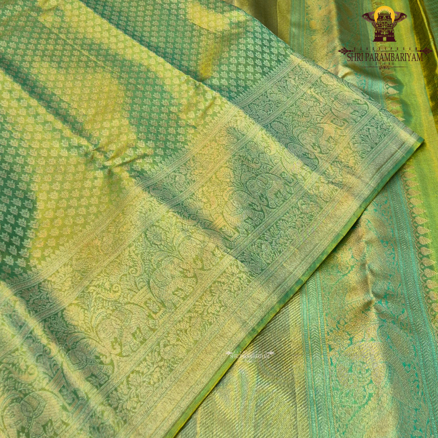 A vibrant parrot green body beautifully blended with a shimmering golden tissue finish Saree