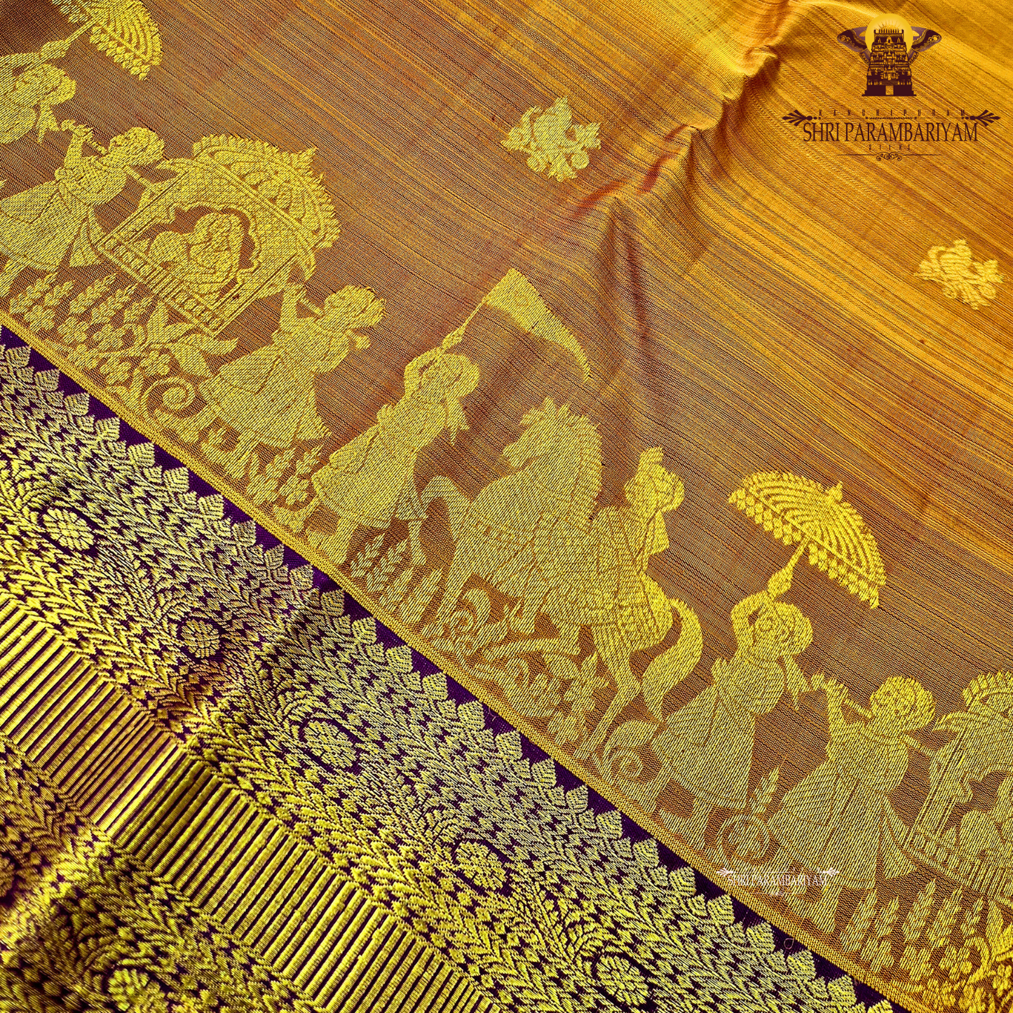 Rich rust orange (burnt orange) body with a contrasting Saree