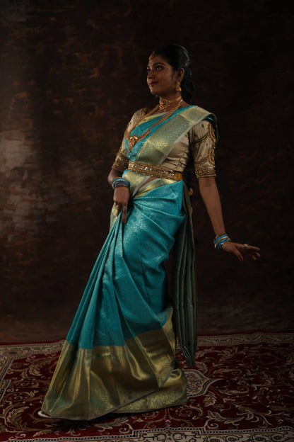 Embellished Border Silk Saree