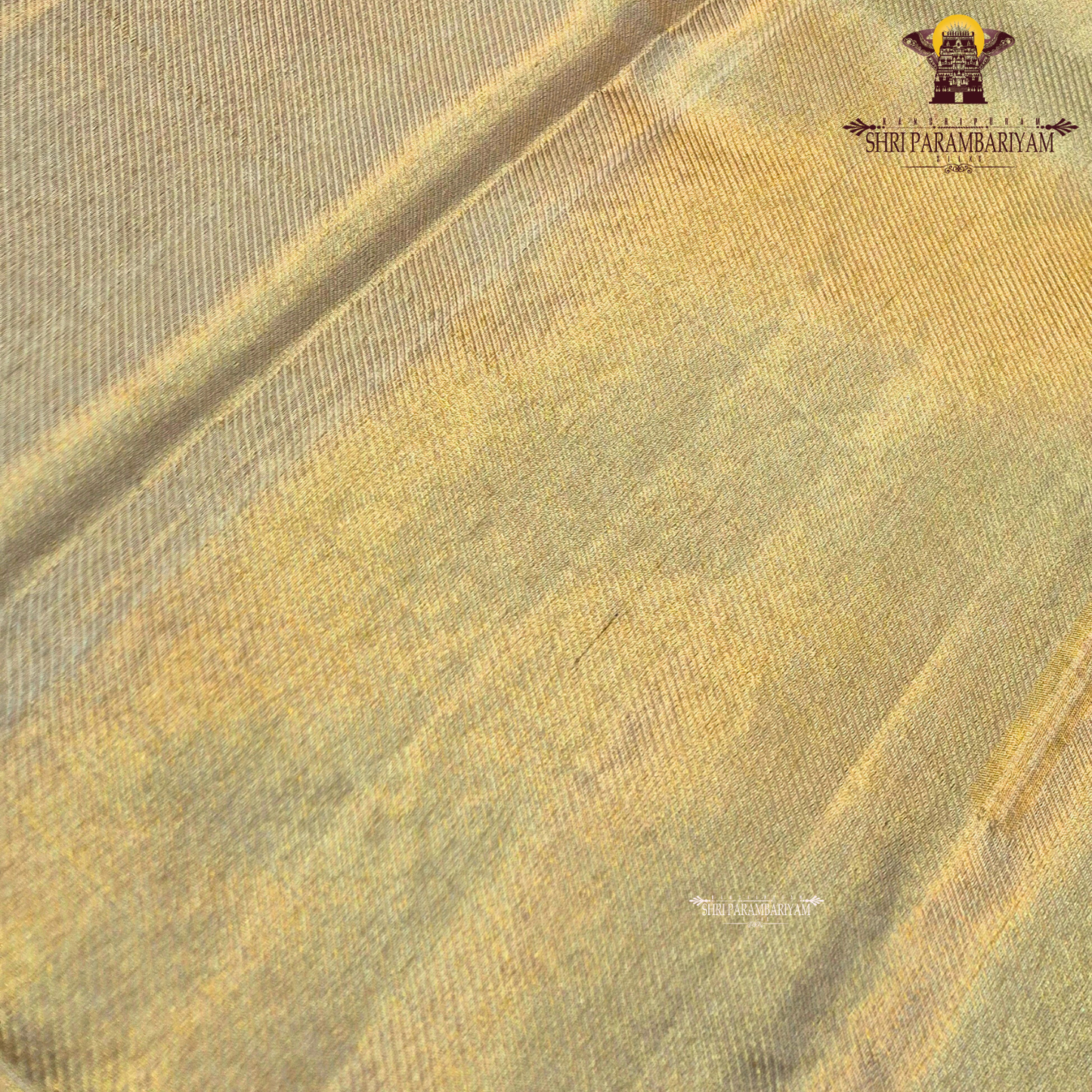 A sophisticated light gold (champagne gold) shade that gives a soft metallic Saree