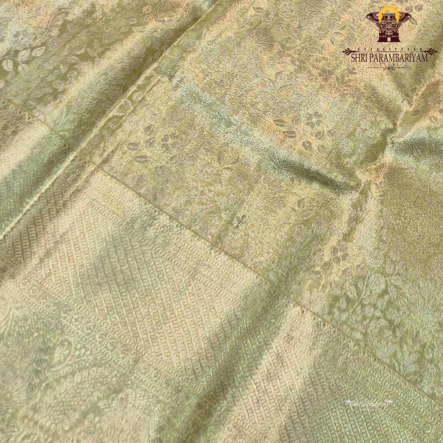 A beautiful light pistachio gold shade that gives a soft and graceful shine Saree