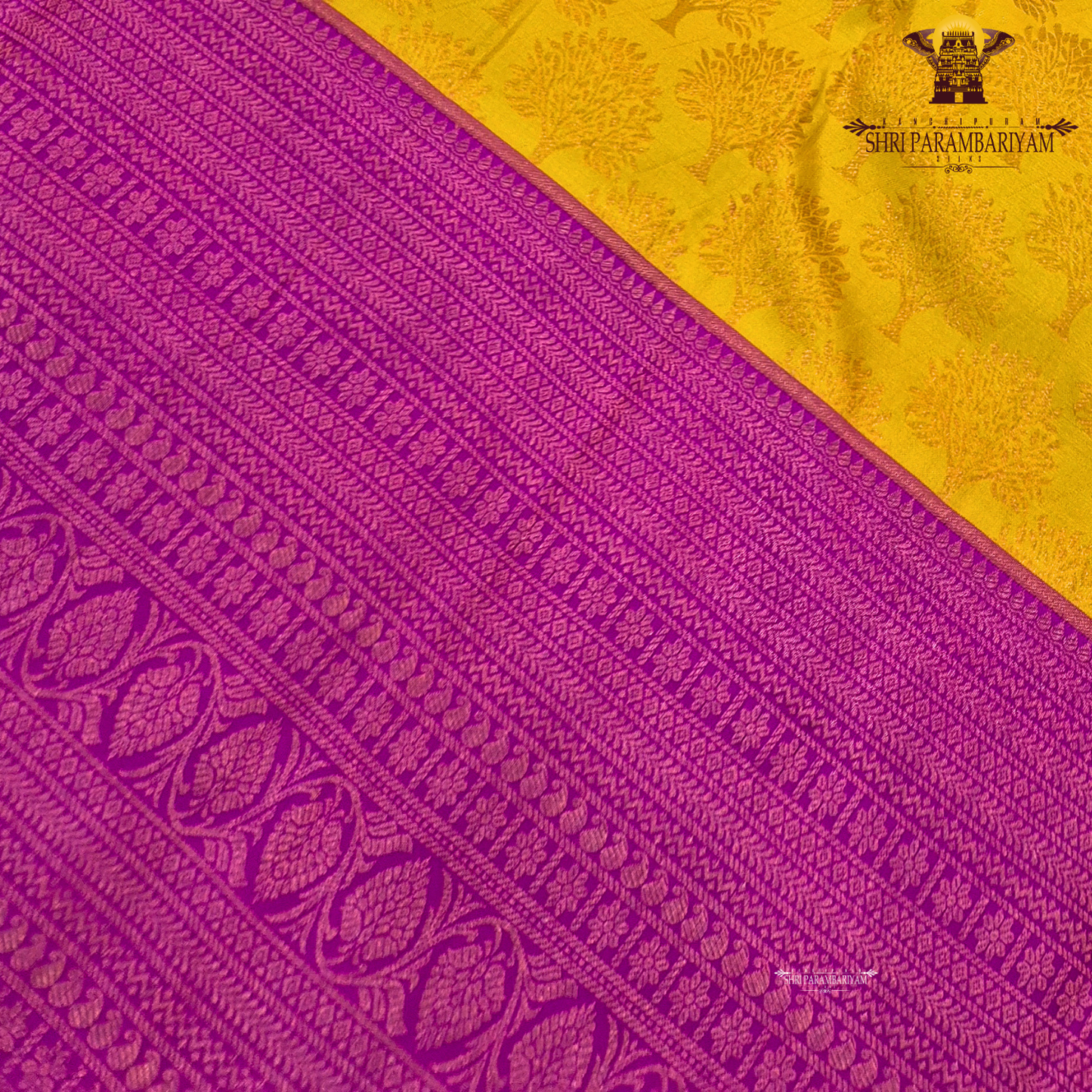 A vibrant mustard yellow (golden yellow) body paired with a rich rani pink (magenta) Korvai border Saree