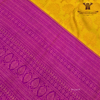 A vibrant mustard yellow (golden yellow) body paired with a rich rani pink (magenta) Korvai border Saree