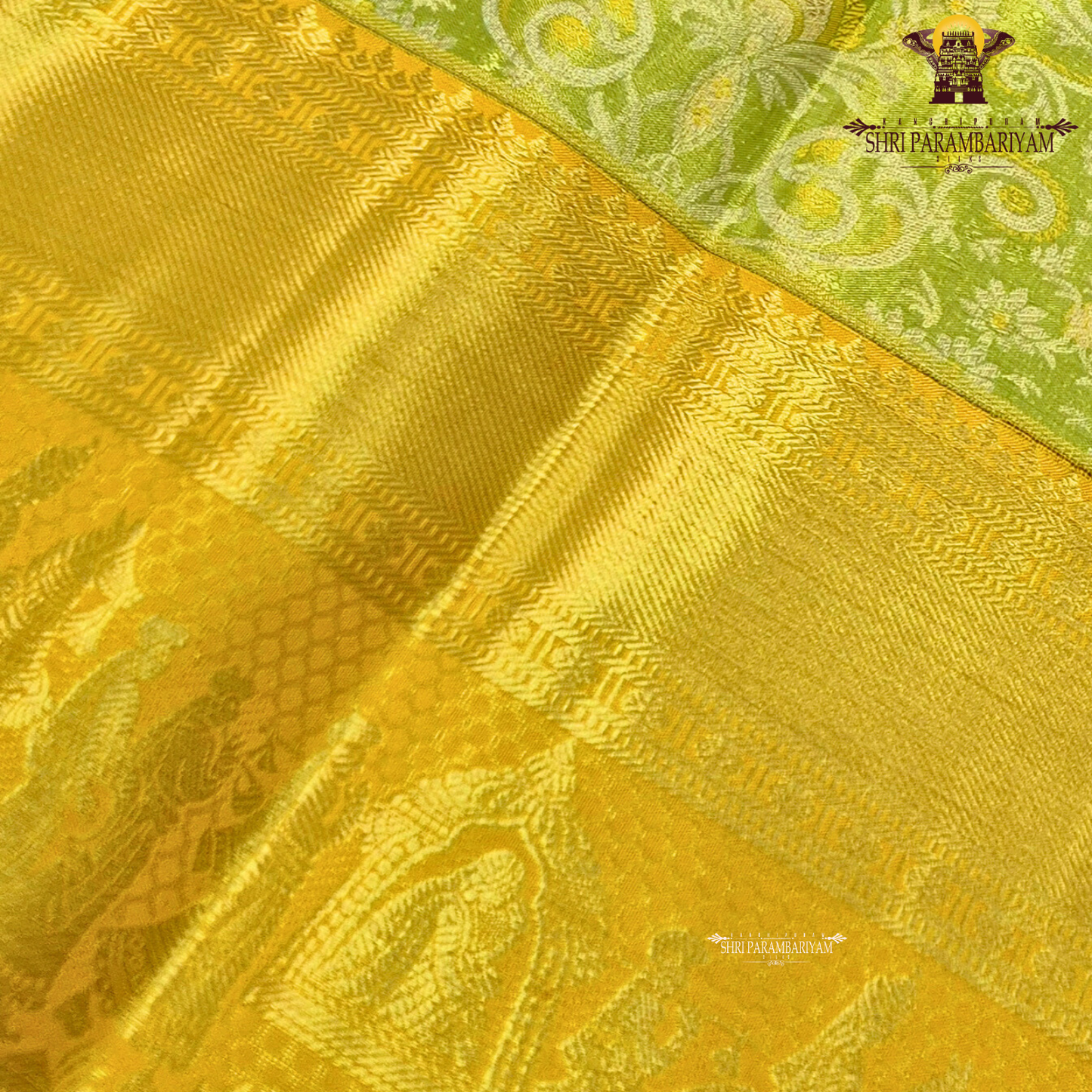 Fresh parrot green with golden yellow (mustard gold) border Saree