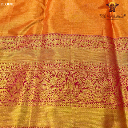 A refreshing pastel pista green body with a subtle sheen Saree