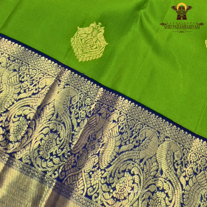 A bright parrot green body paired with a royal navy blue border richly woven Saree