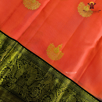 A vibrant coral pink body that radiates elegance and feminine charm Saree