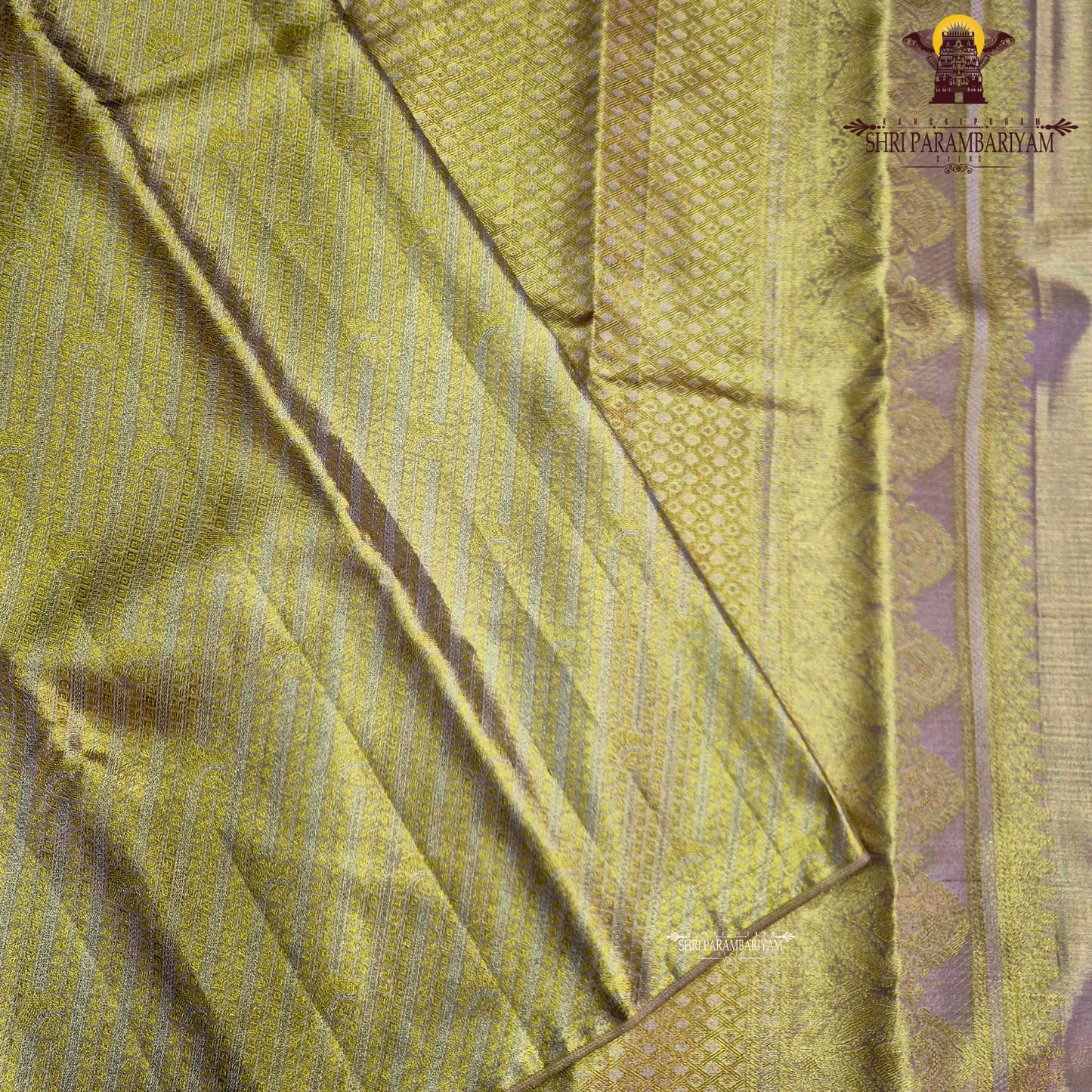 A radiant golden yellow shade that gives a rich and elegant Saree