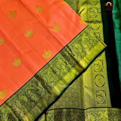 A vibrant coral pink body that radiates elegance and feminine charm Saree