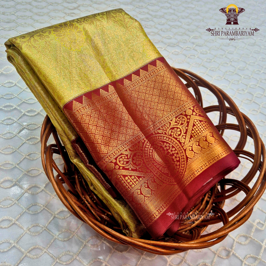 Soft pista green Tissue Saree